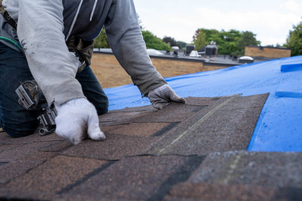 Best Roof Waterproofing Services  in Theodore, AL