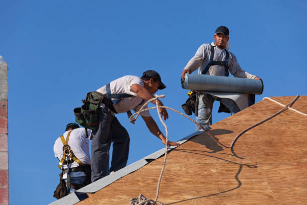 Roof Waterproofing Services in Theodore, AL