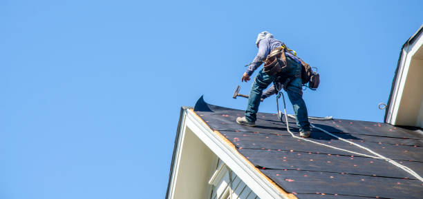 Best Roof Gutter Cleaning  in Theodore, AL